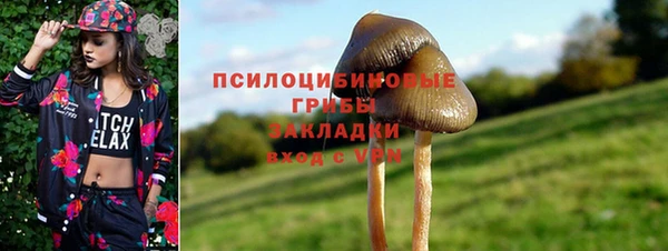 крисы Абдулино