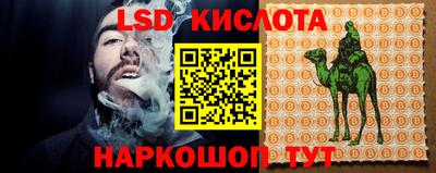 СК Малгобек