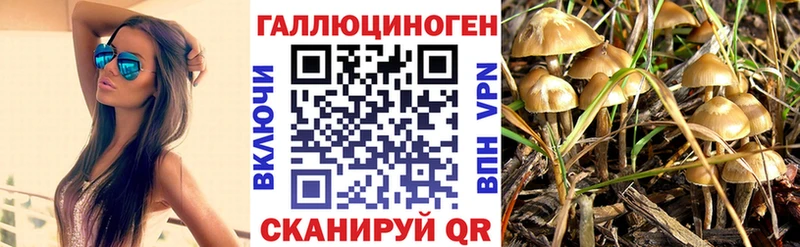 Галлюциногенные грибы мухоморы даркнет сайт Старая Русса