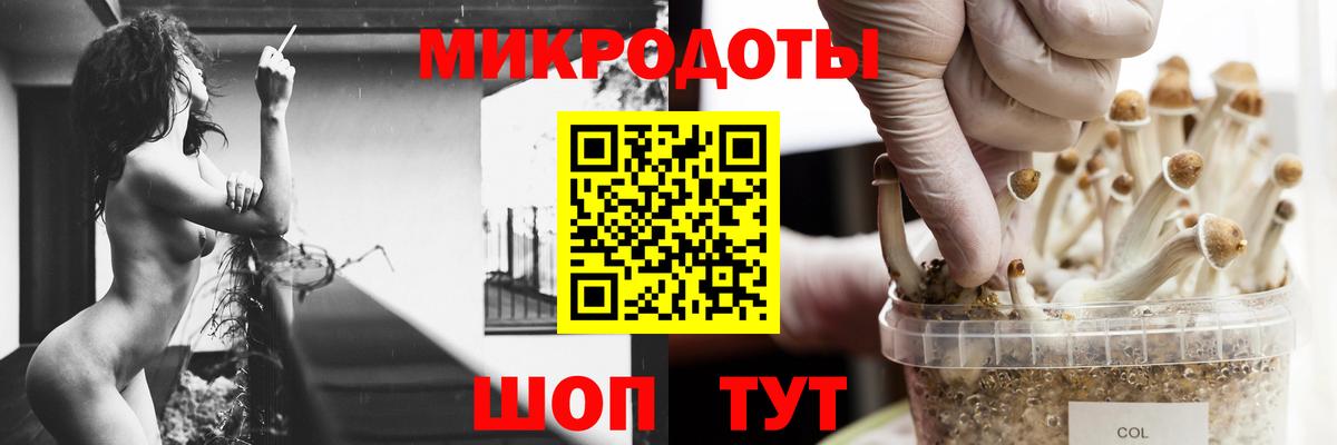 закладка  Галлюциногенные грибы Cubensis  Старая Русса  Вход с VPN  Галлюциногенные грибы мухоморы 